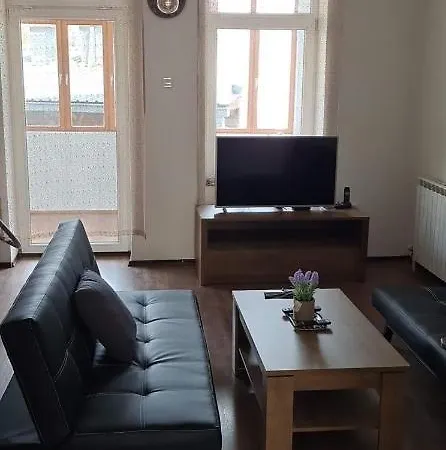 Grand Old Apartment *
